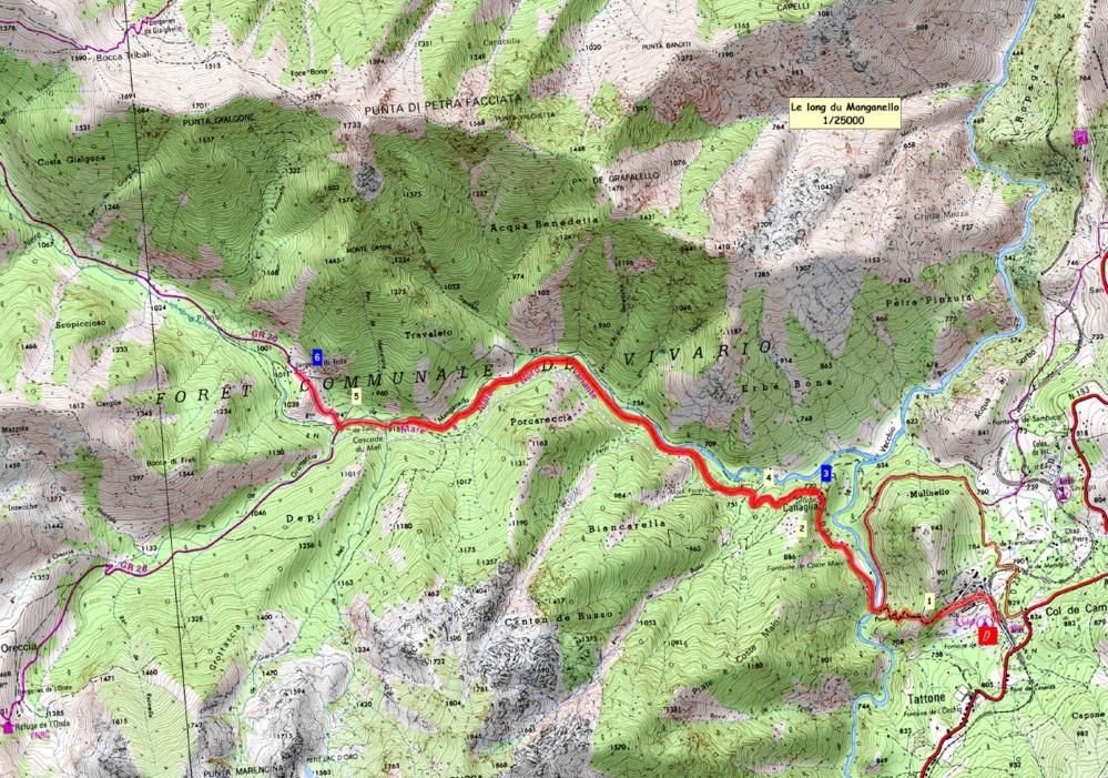 Hiking and swimming on summer Thursdays