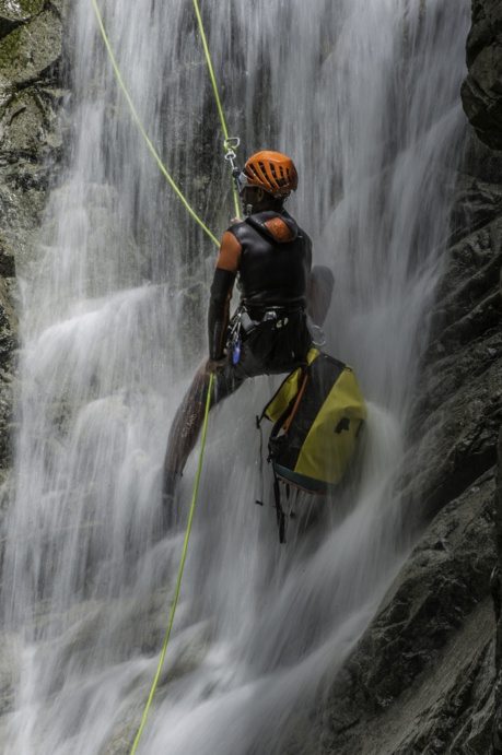 WHO ARE WE WHO ARE WE