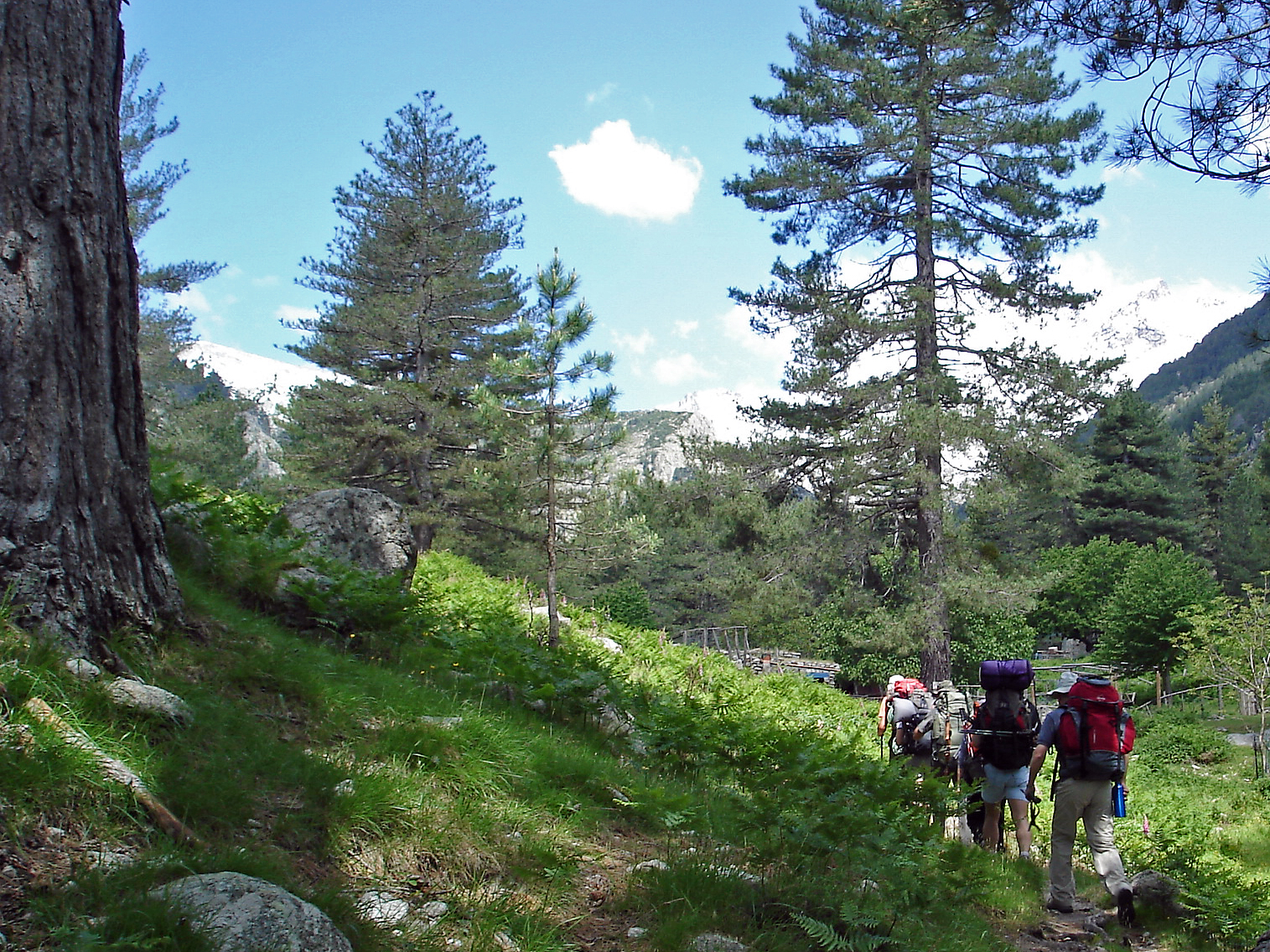 Hiking and swimming on summer Thursdays