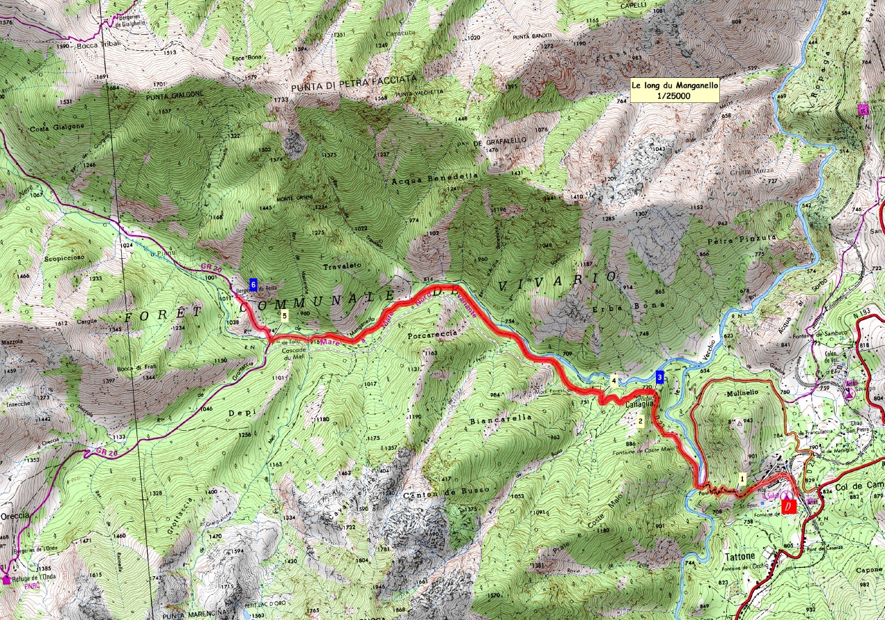 Hiking and swimming on summer Thursdays